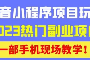 （3251期）抖音小程序9.0新技巧，2023热门副业项目，动动手指轻松变现