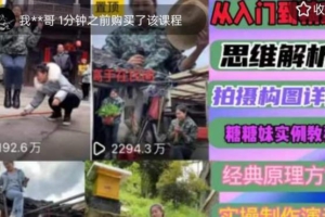 （3265期）东方糖糖妹·抖音短视频全套实战课思维+拍摄+剪辑+运营，从入门到精通