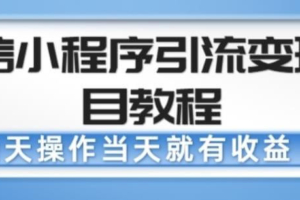 （3329期）微信小程序引流变现项目教程，当天操作当天就有收益，变现不再是难事