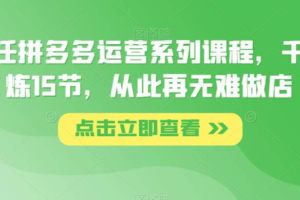 （3569期）纪主任·拼多多运营系列课程，千锤百炼15节，从此再无难做店