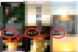 （3609期）东哲4月五课原版玄学项目：0砍价0墨迹 轻松交付 一单赚200+未来20年红利