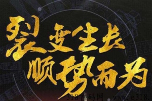 拼购+消费盲返商城，裂变引流机制，全新模式玩法项目盘口首码
