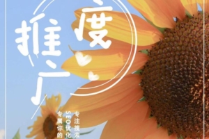 微易达，让你足不出户做遍全g生意