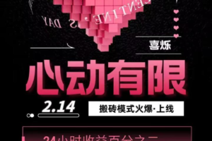 全新搬砖模式，首码来袭，实体开年热度最高