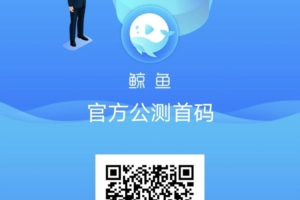 鲸鱼，2023最靠谱的卷轴项目