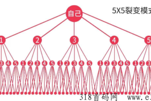 花小猫，打开思维，打开格局，让你赚米，更能教你赚米