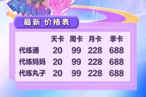 代练玩家抢单器，代练团队招人