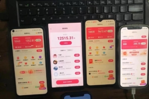 快手极速版自动网推拉新，独家技术，长期稳定项目