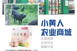 柏千网，柏千农场实体＋互联网结合，2023大项目