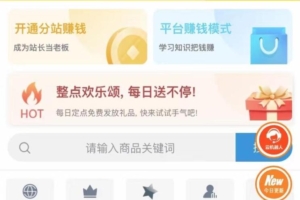 虚拟项目合伙人，拥有独立后台APP，每天收益高