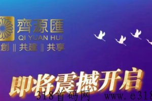 齐源汇！超强地推团队，团队扶持等级+代扶持奖励，二二复制，自动滑落占位躺赚，赚米就是玩预购游戏