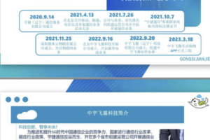 中宇飞猫，空降项目，无预热
