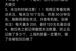 兔关助最强首码，单号日赚收益高