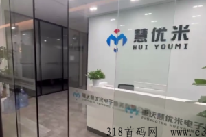 慧优米官方对接，全新首码项目，直线公排F红模式