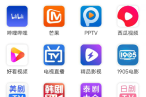 全网影视VIP会员赚米行业健康发展此副业项目最高扶持