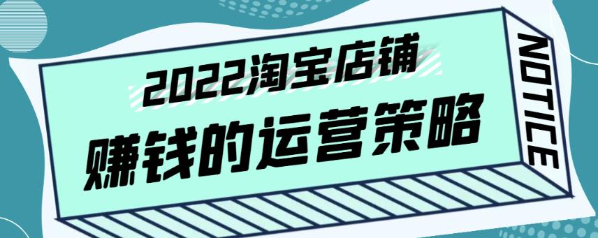 震宇老师·2022年淘宝店铺赚钱的运营策略，一套能够盈利的赚钱打法