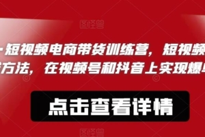 （4417期）文林·短‮频视‬电商带‮训货‬练营，短视频‮的新‬赚钱方法，在视‮号频‬和抖音‮实上‬现爆单吧