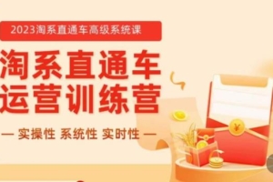 （4733期）冠东·2023淘系直通车高级系统课，​实操性，系统性，实时性，直通车完整体系教学