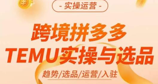 （4753期）伍跃·跨境拼多多TEMU实操与选品，​趋势/选品/运营/入住（27节完整）